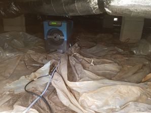 Crawl Space Mold Remediation in Smyrna, GA (6)