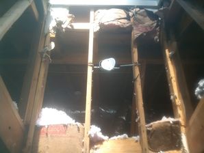 Damage Reconstruction in Smyrna, GA (2)